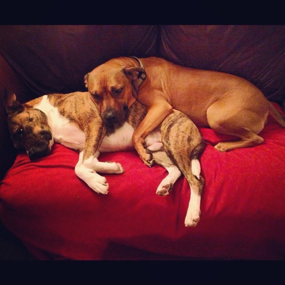 Meet your Posher, Meredith - Picture 6 of 6